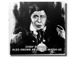  - chief-buffalo picture